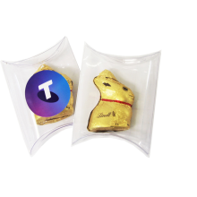 Pillow Pack with Gold 10g Lindt Bunny